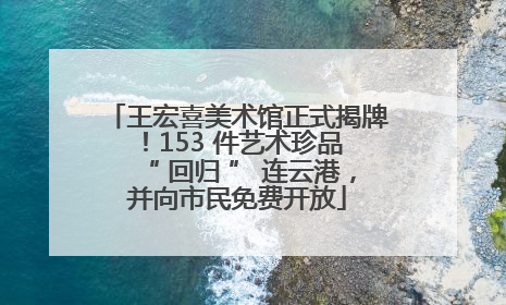 王宏喜美术馆正式揭牌！153 件艺术珍品 “ 回归 ” 连云港，并向市民免费开放