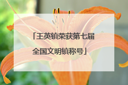 王英镇荣获第七届全国文明镇称号