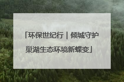 环保世纪行｜倾城守护 巢湖生态环境新蝶变