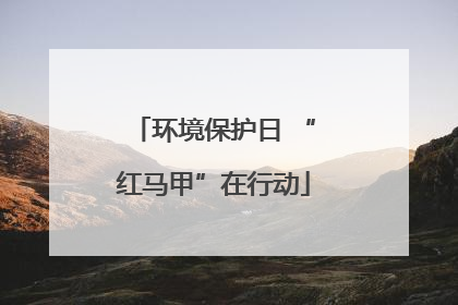 环境保护日 “红马甲”在行动