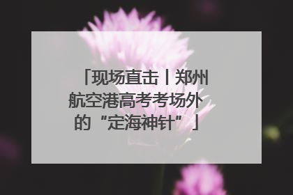 现场直击丨郑州航空港高考考场外的“定海神针”
