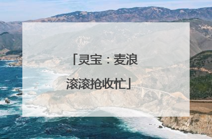 灵宝：麦浪滚滚抢收忙