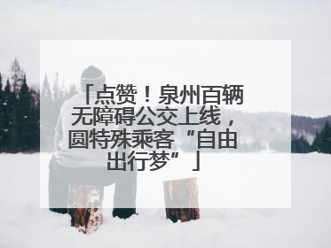点赞！泉州百辆无障碍公交上线，圆特殊乘客“自由出行梦”