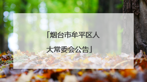 烟台市牟平区人大常委会公告