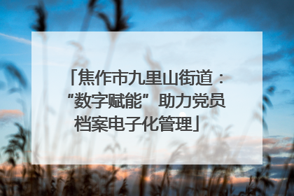 焦作市九里山街道：“数字赋能”助力党员档案电子化管理