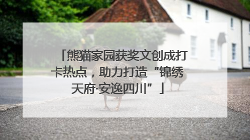 熊猫家园获奖文创成打卡热点，助力打造“锦绣天府·安逸四川”