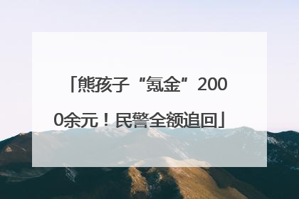 熊孩子“氪金”2000余元！民警全额追回