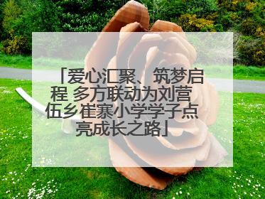 爱心汇聚、筑梦启程 多方联动为刘营伍乡崔寨小学学子点亮成长之路