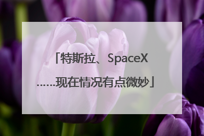 特斯拉、SpaceX……现在情况有点微妙