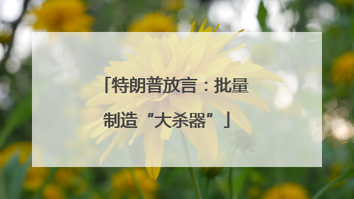 特朗普放言：批量制造“大杀器”
