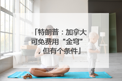 特朗普：加拿大可免费用“金穹”，但有个条件