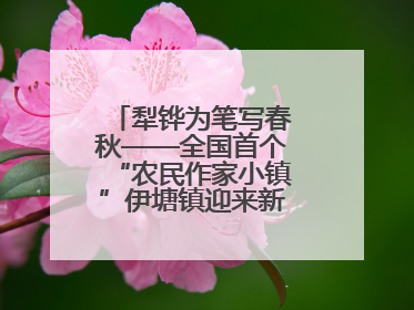 犁铧为笔写春秋——全国首个“农民作家小镇”伊塘镇迎来新乡土文学采风