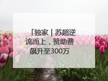 独家｜苏超逆流而上，赞助费飙升至300万，仍一席难求