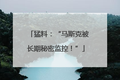猛料：“马斯克被长期秘密监控！”