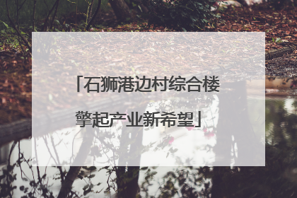 石狮港边村综合楼擎起产业新希望