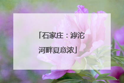 石家庄：滹沱河畔夏意浓