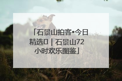 石景山拍客•今日精选⑲｜石景山72小时欢乐图鉴
