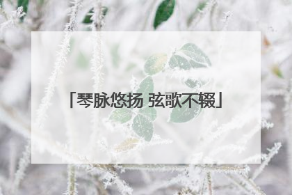 琴脉悠扬 弦歌不辍