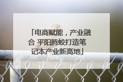 电商赋能，产业融合 平阳腾蛟打造笔记本产业新高地