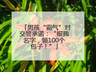男孩“霸气”对交警承诺：“报我名字，领100个包子！”