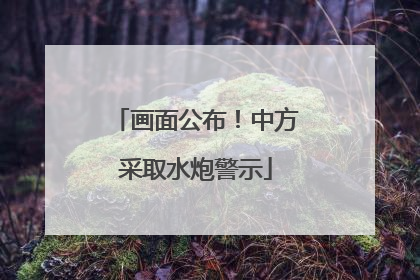 画面公布！中方采取水炮警示