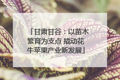 甘肃甘谷：以苗木繁育为支点 撬动花牛苹果产业新发展