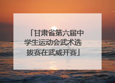 甘肃省第六届中学生运动会武术选拔赛在武威开赛