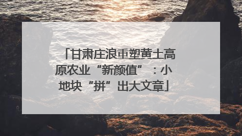 甘肃庄浪重塑黄土高原农业“新颜值”：小地块“拼”出大文章
