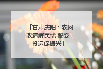 甘肃庆阳：农网改造解民忧 配变投运促振兴