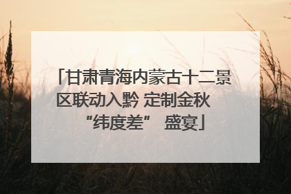 甘肃青海内蒙古十二景区联动入黔 定制金秋 “纬度差” 盛宴