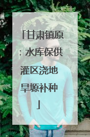 甘肃镇原：水库保供 灌区浇地 旱塬补种