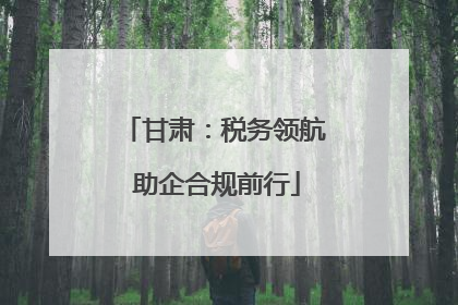 甘肃：税务领航 助企合规前行