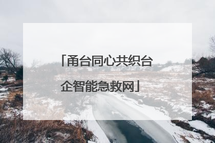 甬台同心共织台企智能急救网