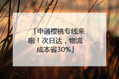申通樱桃专线来啦！次日达，物流成本省30%
