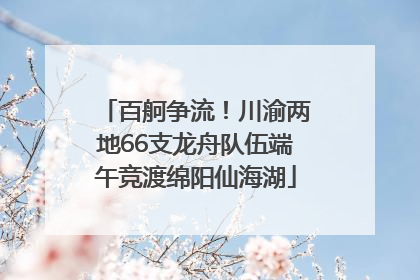百舸争流！川渝两地66支龙舟队伍端午竞渡绵阳仙海湖