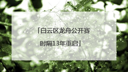 白云区龙舟公开赛时隔13年重启