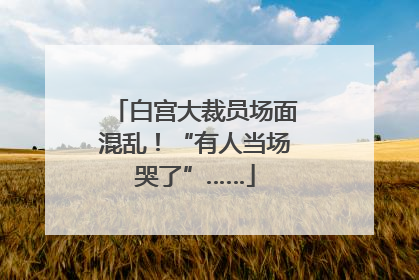 白宫大裁员场面混乱！“有人当场哭了”……