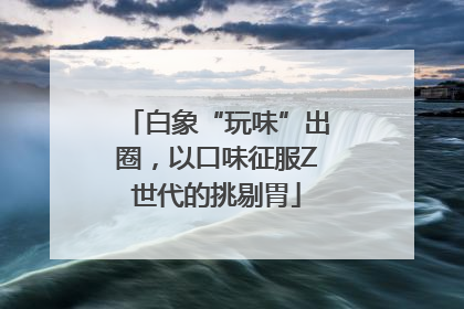 白象“玩味”出圈，以口味征服Z世代的挑剔胃