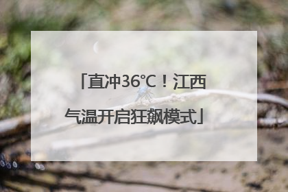 直冲36℃！江西气温开启狂飙模式