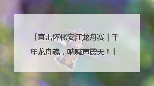直击怀化安江龙舟赛｜千年龙舟魂，呐喊声震天！