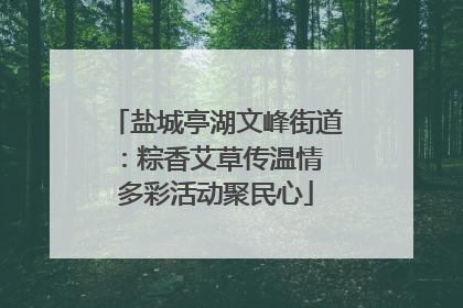 盐城亭湖文峰街道：粽香艾草传温情 多彩活动聚民心