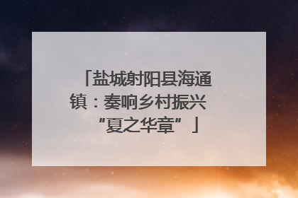 盐城射阳县海通镇：奏响乡村振兴“夏之华章”