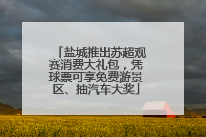 盐城推出苏超观赛消费大礼包，凭球票可享免费游景区、抽汽车大奖