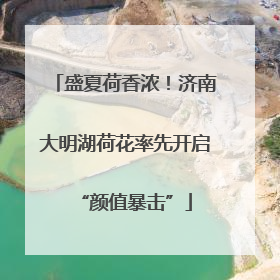 盛夏荷香浓！济南大明湖荷花率先开启“颜值暴击”