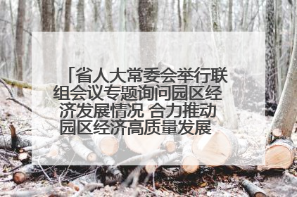 省人大常委会举行联组会议专题询问园区经济发展情况 合力推动园区经济高质量发展 王宁主持会议并讲话 王予波带队到会应询