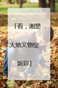 看，湘楚大地文物绽新彩
