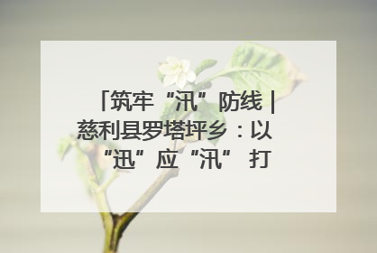 筑牢“汛”防线｜慈利县罗塔坪乡：以“迅”应“汛” 打赢暴雨防御战