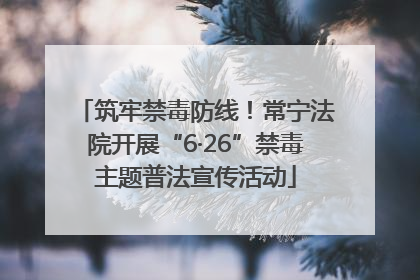 筑牢禁毒防线！常宁法院开展“6·26”禁毒主题普法宣传活动