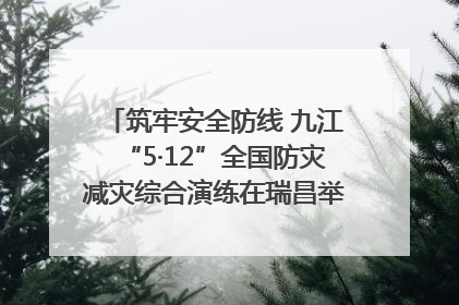 筑牢安全防线 九江“5·12”全国防灾减灾综合演练在瑞昌举行（组图｜视频）