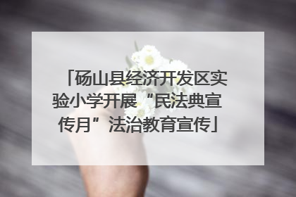 砀山县经济开发区实验小学开展“民法典宣传月”法治教育宣传